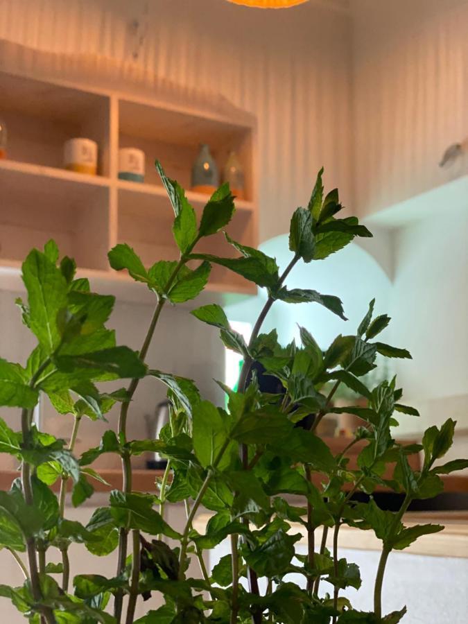 A Casa Del Console Apartment Manfredonia Kültér fotó