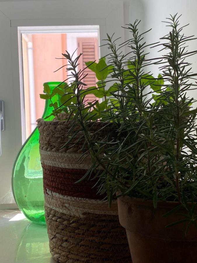 A Casa Del Console Apartment Manfredonia Kültér fotó